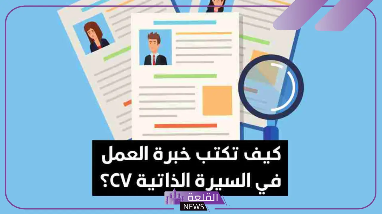 أنواع الخبرات في السيرة الذاتية بالأمثلة للخريجين 2 أنواع الخبرات في السيرة الذاتية بالأمثلة للخريجين