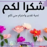 عبارات الامتنان والتقدير لشخص يستحق.. أجمل عبارات امتنان وحب