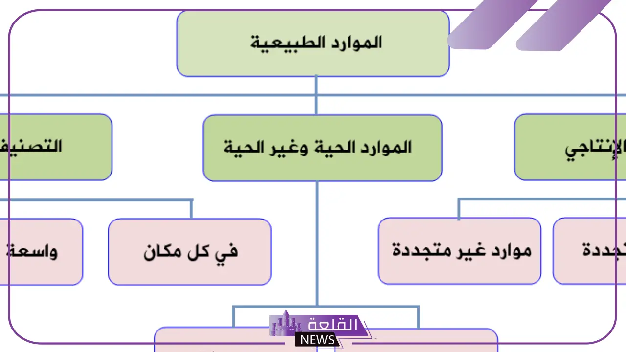 انواع الموارد الطبيعية والبشرية والمادية 5 ما هي أهمية الموارد