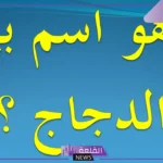 ما اسم بيت الدجاج؟ خصائص وصفات بيت الدجاج الجيد
