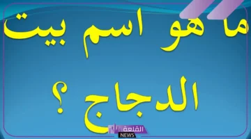 بيت الدجاج