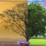ماهي العوامل المؤثره في المناخ والتنوع الحيوي