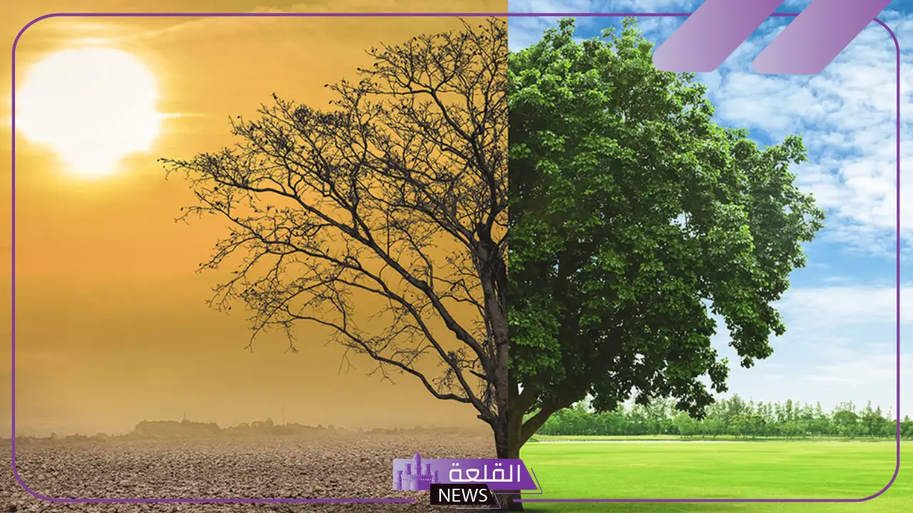 ماهي العوامل المؤثره في المناخ والتنوع الحيوي