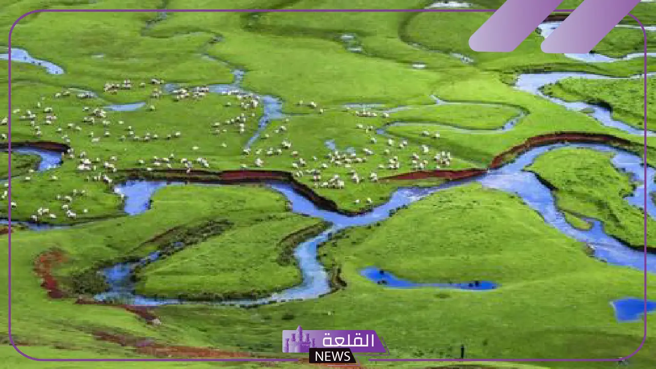 ما هي السهول؟ تعريف السهول الداخلية والخارجية 5 ما هي السهول