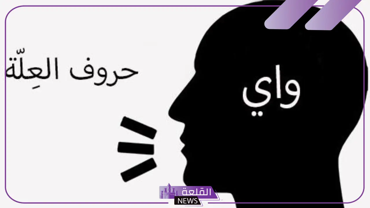 حروف العلة هي: أمثلة على حروف العلة من اللغة العربية 1 حروف العلة هي: أمثلة على حروف العلة من اللغة العربية