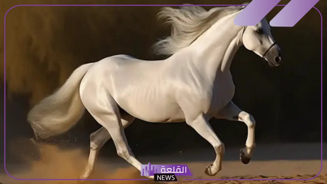 صور جميلة جديدة جاهزة للتحميل 2025.. أجمل خلفيات وصور لجوالك صور جميلة جديدة جاهزة للتحميل 2025.. أجمل خلفيات وصور لجوالك
