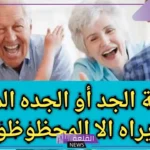 تفسير حلم رؤية الجد في المنام للرجل متوفى لابن سيرين