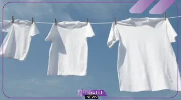 رمز الملابس الداخلية في الحلم
