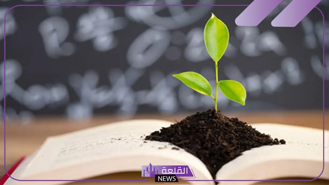ما هي قوانين نظرية سكنر بالسلبيات والإيجابيات؟ 5 الفرق بين نظرية سكنر وبافلوف وثورندايك