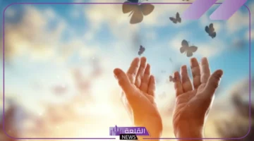 عبارات التفاؤل