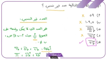 عدد غير نسبي