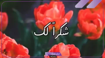 فن الرد على الغير