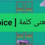 وش معنى فويس بالانجليزي؟ معنى كلمة voice call بالعربي