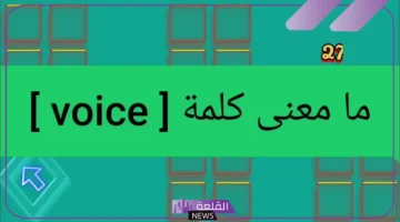 فويس