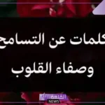 قصة عن التسامح والعفو قصيرة للأطفال