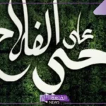 معنى حي في المعاجم.. أصل كلمة حي في اللغة العربية