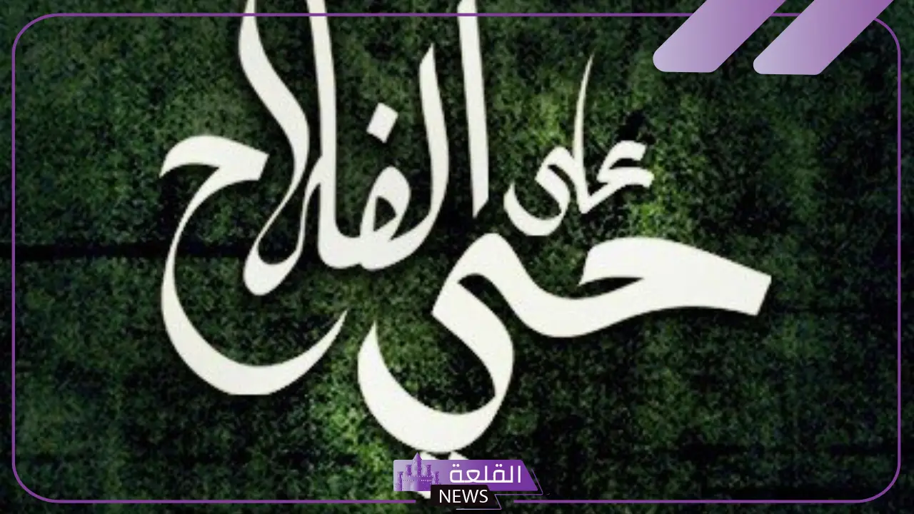 معنى حي في المعاجم.. أصل كلمة حي في اللغة العربية 13 معنى حي في المعاجم.. أصل كلمة حي في اللغة العربية