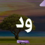 معنى كلمة ود في اللغة العربية.. معنى اسم ود وصفاته
