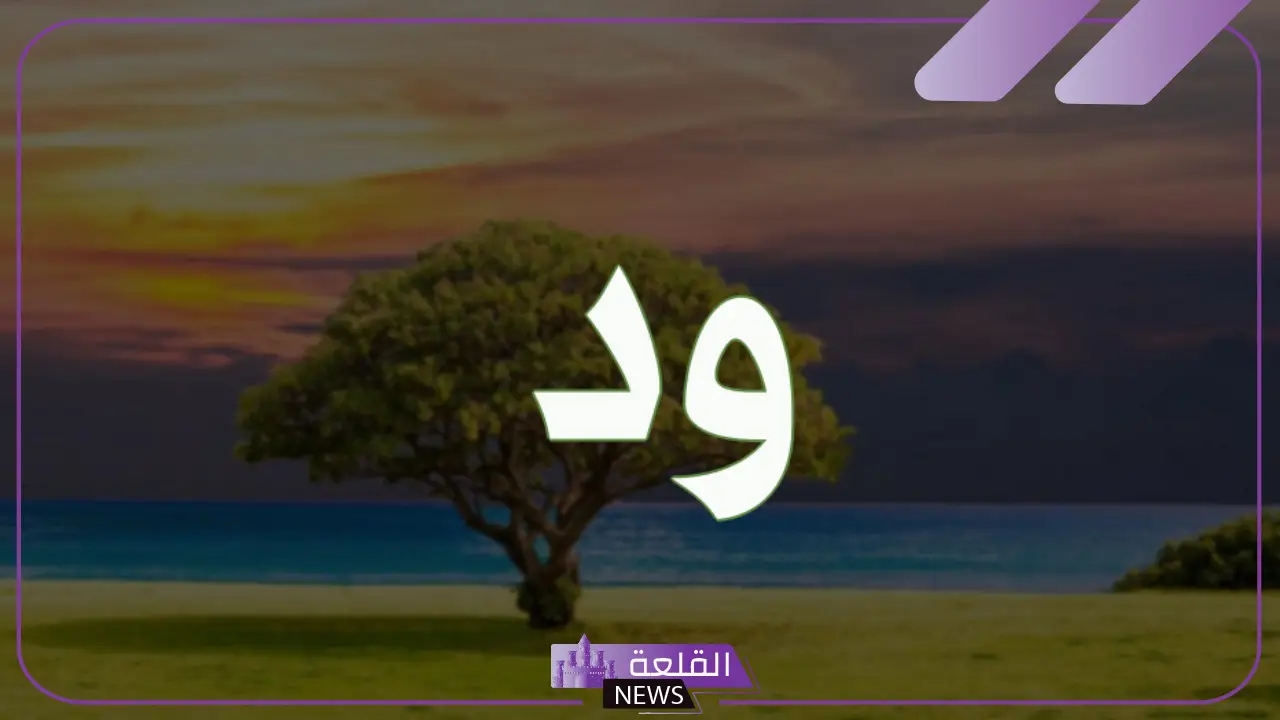 معنى كلمة ود في اللغة العربية.. معنى اسم ود وصفاته