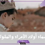 اسماء اولاد الأمراء والملوك جميلة نادرة بالمعاني مميزة 2025