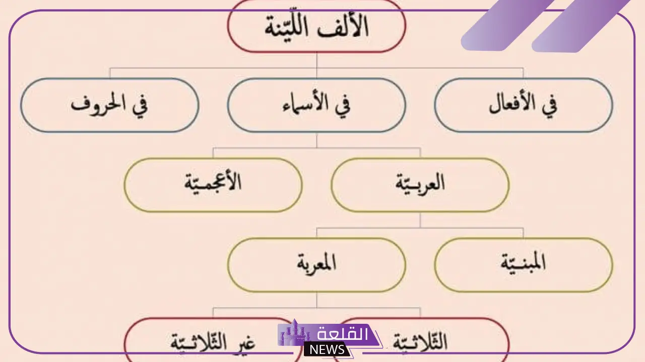 الألف اللينة تكون في الأسماء والأفعال والحروف