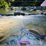 من مصادر المياه العذبة: أنواع المياه العذبة