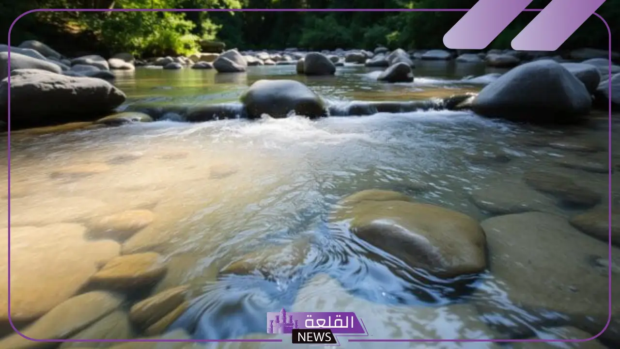 من مصادر المياه العذبة: أنواع المياه العذبة