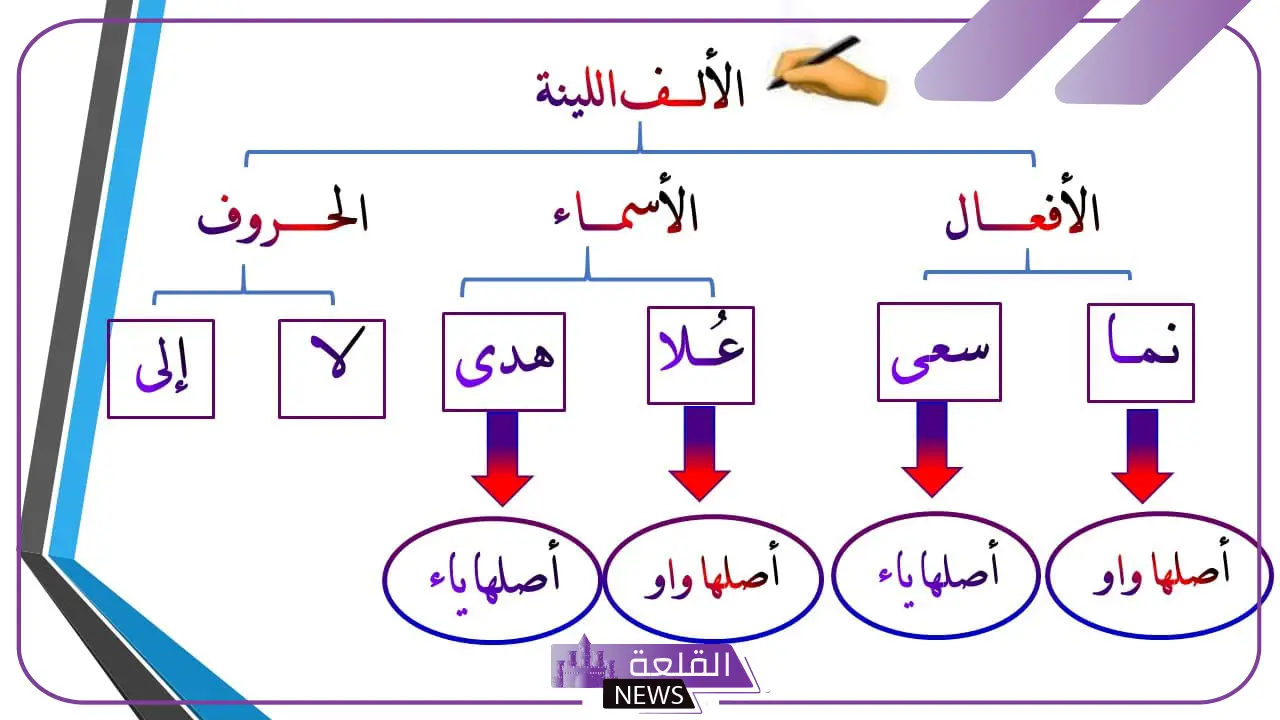 الألف اللينة تكون في الأسماء والأفعال والحروف الألف اللينة تكون في الأسماء والأفعال والحروف