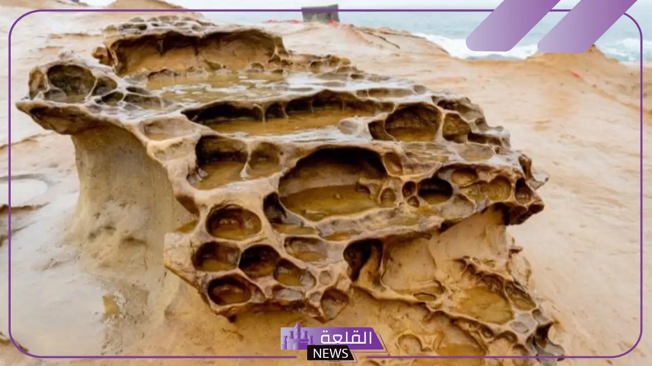 ما هي التجوية الكيميائية باستخدام الكائنات الحية؟