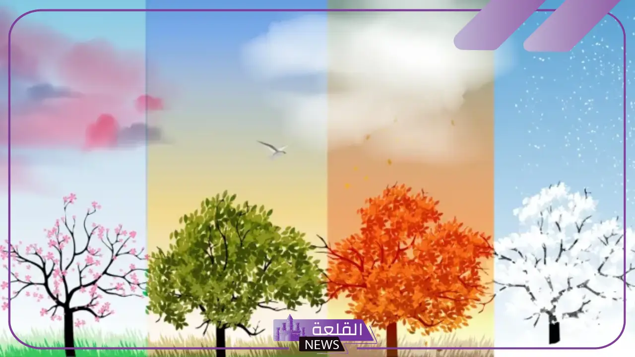 جدول الفصول الاربعة.. فصول السنة الأربعة وما يمتاز به كل فصل جدول الفصول الاربعة.. فصول السنة الأربعة وما يمتاز به كل فصل