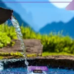 ما هي أهم مصادر المياه العذب؟ انواع المياه العذبة