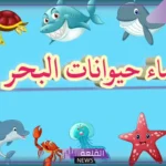 اسماء حيوانات بحرية وأنواعها.. أنواع أخطر حيوانات البحر