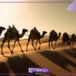 ما هو معنى الذود؟ استخدامات الذود في اللغة العربية
