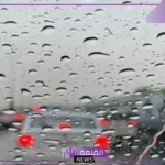 تفسير حلم نزول المطر للمتزوجة والحامل للنابلسي في المنام