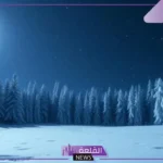 تفسير حلم رؤية الثلج في المنام للمرأة العزباء والمتزوجة