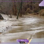 تفسير حلم السيل مع الوادي في المنام للعزباء والمتزوجة عند ابن سيرين