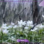 تفسير حلم المطر للعزباء في المنام لابن شاهين والنابلسي