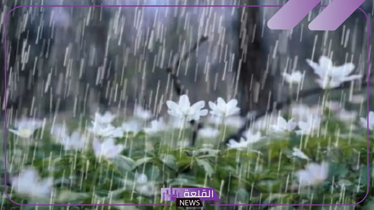 تفسير حلم المطر للعزباء في المنام لابن شاهين والنابلسي