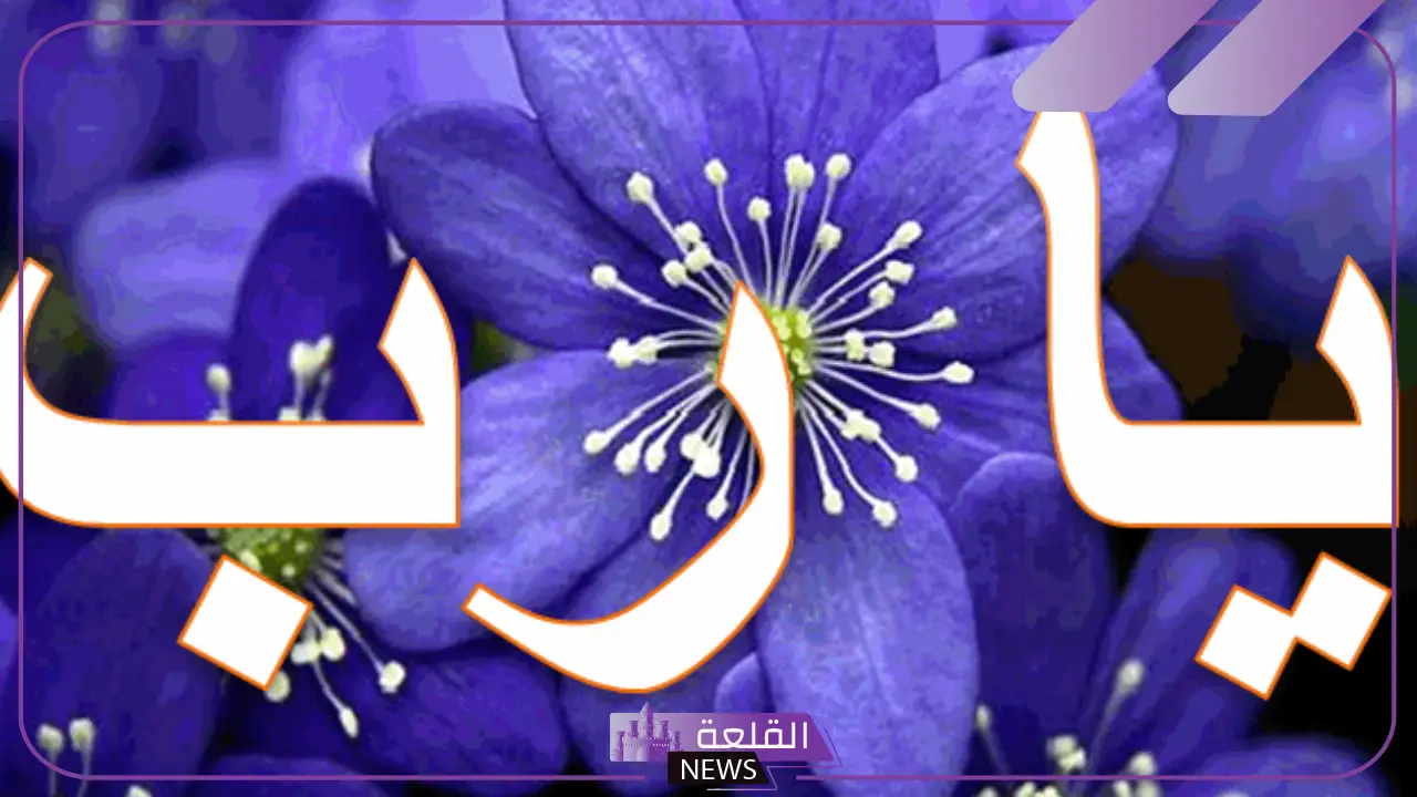 ما هو معنى كلمة رب؟  وش معنى الرب اصطلاحا