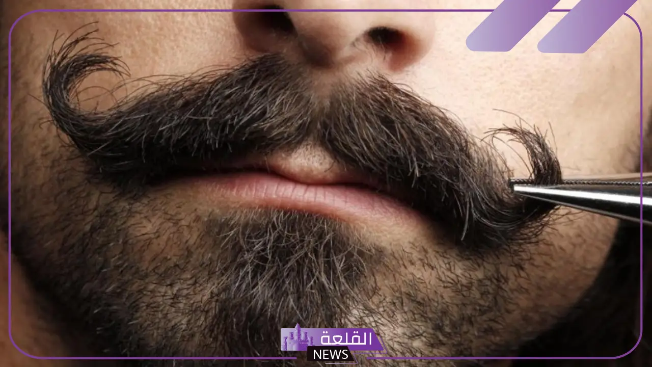 قصات شنب للشباب مميزة على الصيحة.. ستايل الشنب التركي قصات شنب للشباب مميزة على الصيحة.. ستايل الشنب التركي