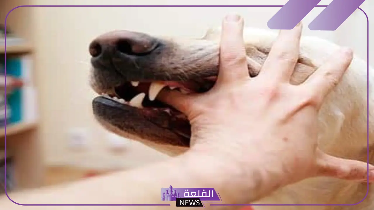 حلمت بالكلب يعضني في المنام لابن سيرين للعزباء للمتزوجة