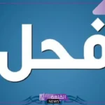 معنى فحول في اللغة العربية.. أنواع الفحول في علم اللغة