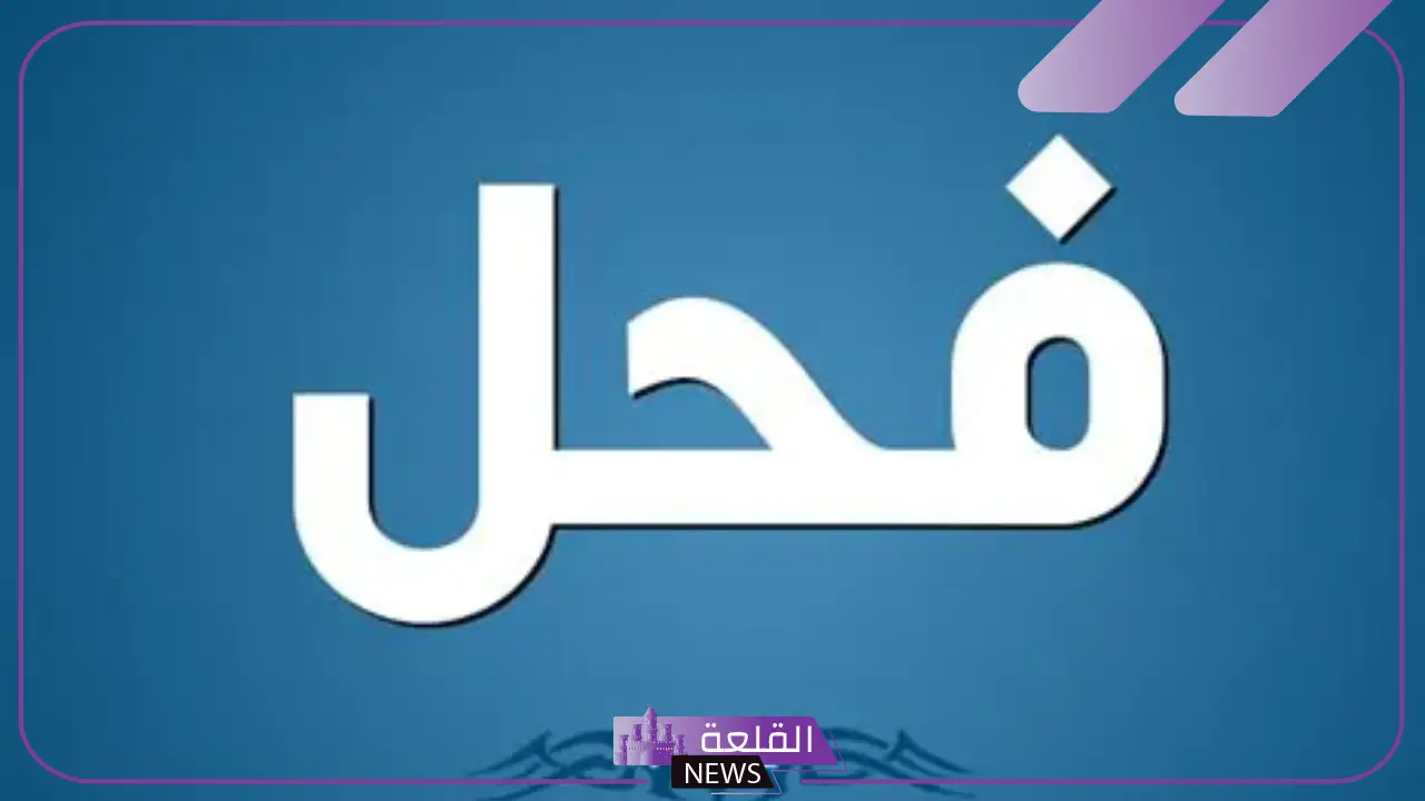 معنى فحول في اللغة العربية.. أنواع الفحول في علم اللغة