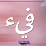 معنى فيء في اللغة العربية.. تعريف الفيء لغة واصطلاحاً