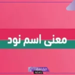 ما معنى النود وما استخداماتها؟ أصل ومشتقات كلمة نود