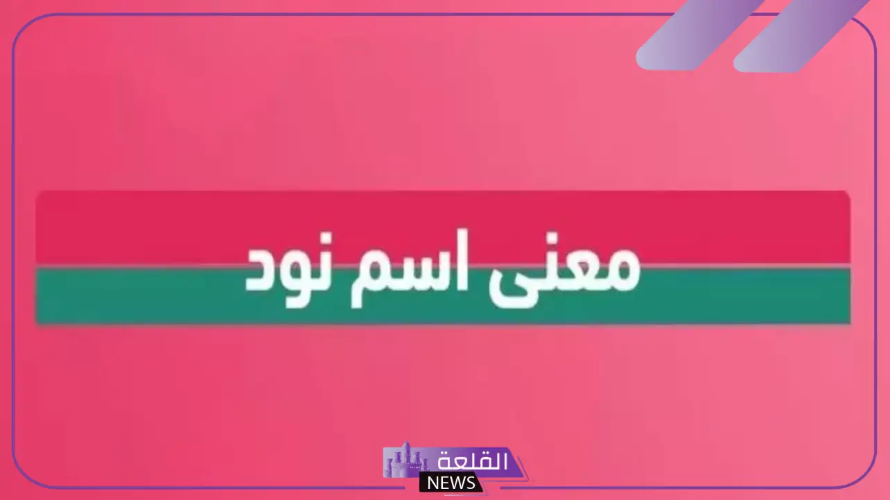 ما معنى النود وما استخداماتها؟ أصل ومشتقات كلمة نود