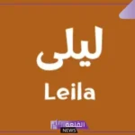 رمز ومعنى اسم ليلى في المنام للمتزوجة والعزباء لابن سيرين