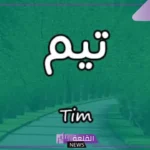 ما معنى اسم تيم؟ الصفات الشخصية لحامل اسم تيم ودلعه