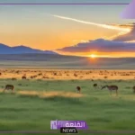 منطقة عشبية معتدلة.. الحيوانات التي تعيش في المناطق المعتدلة