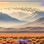 لماذا تهاجر بعض الحيوانات؟ أنواع هجرة الحيوانات